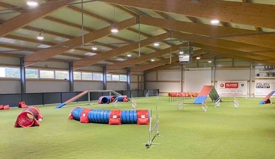 Agility Trainingsplatz mit Hindernissen für Hunde in einer Halle