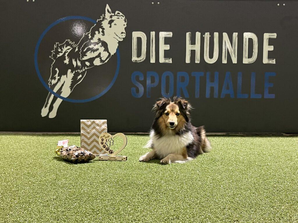 Online Buchungsportal